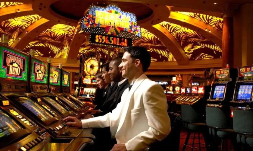 Cryptocurrency Risk vs Reward: A Financial Analysis