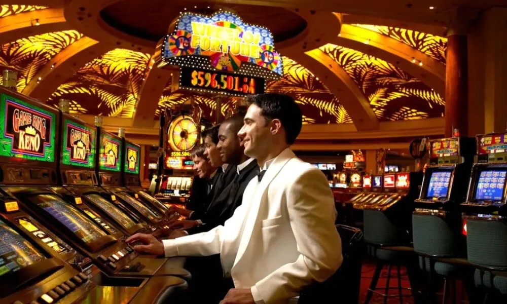 Cryptocurrency Risk vs Reward: A Financial Analysis